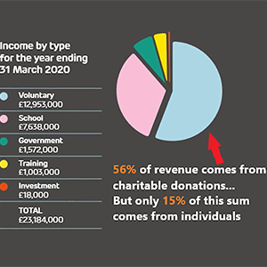 Analysing a charity's website