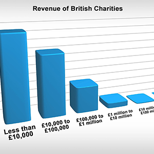 The British charitable sector
